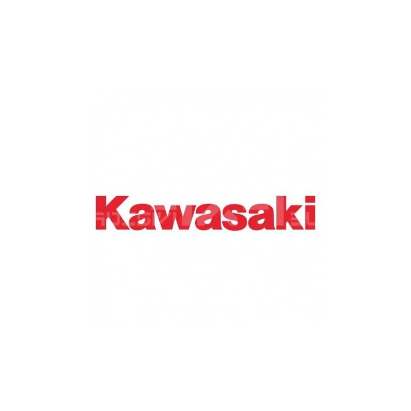 Coppia adesivi Kawasaki